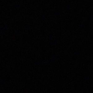 Meet your Posher, Harrison